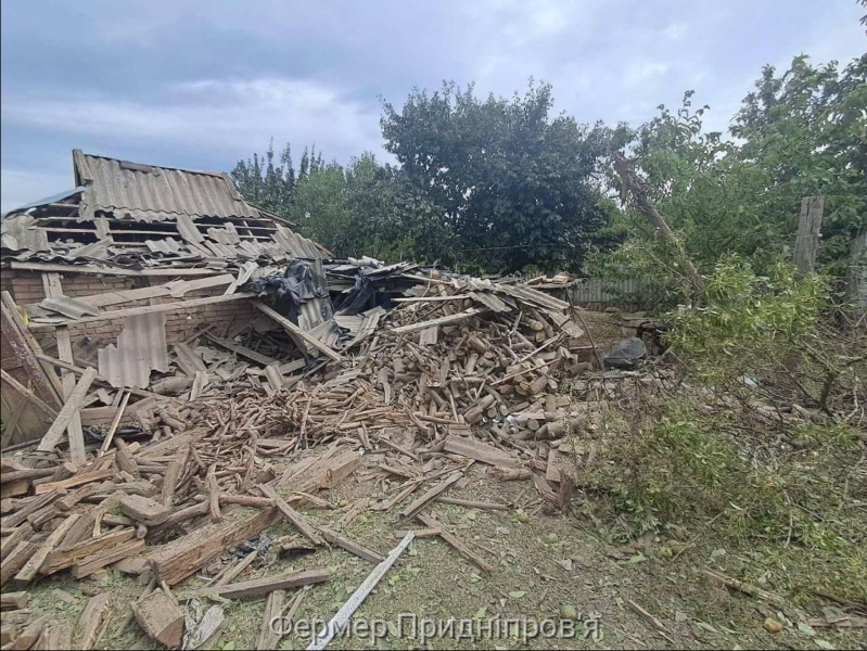 Від атак орди у Нікопольщині постраждали три жінки і чоловік