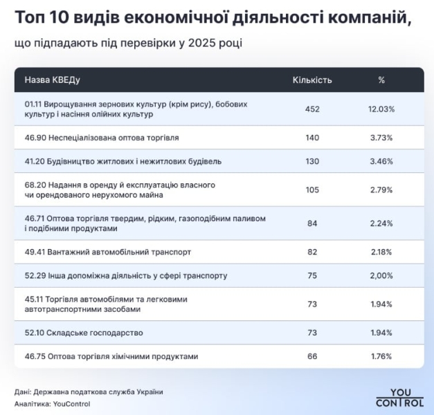 Податкові плани: кого інспектори збираються перевіряти найбільше