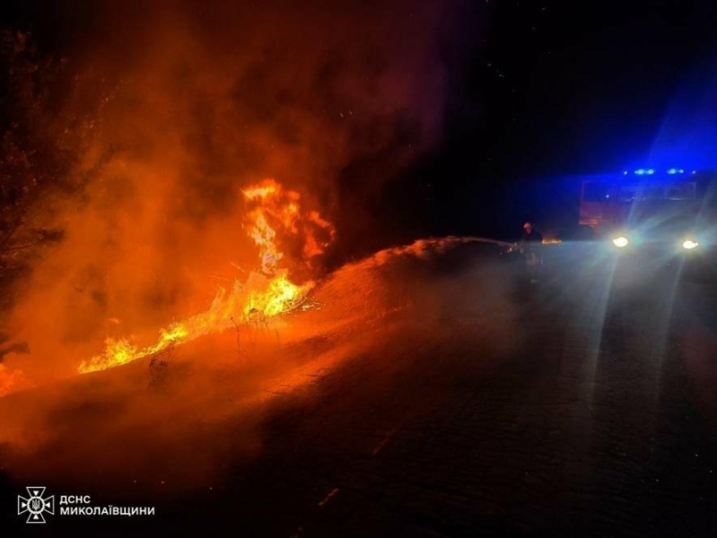 За добу на Миколаївщині сталося 36 пожеж: понад 22 гектари вигоріло, - ФОТО