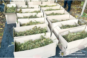 У двох жителів Рівного забрали наркотиків на 7,5 мільйонів гривень (ФОТО)