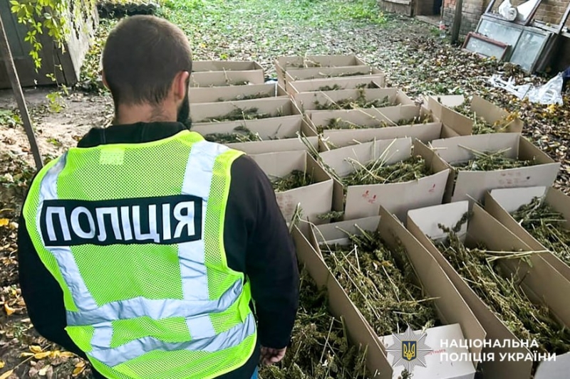 У двох жителів Рівного забрали наркотиків на 7,5 мільйонів гривень (ФОТО)