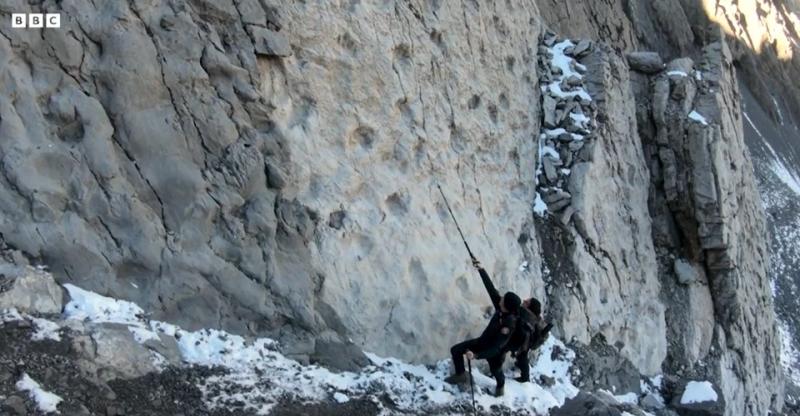 На півночі Італії виявили тисячі слідів динозаврів, яким понад 200 млн років